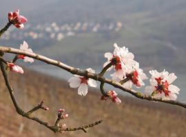 Gastehaus Weingut Rossler, hotel a Lorch am Rhein