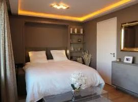 Luxury Studio Daumesnil Wifi & Netflix