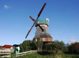 Dutch windmill in Neubukow