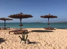 Ca' Greta the kiter house easy for sport people - 2 different appartments