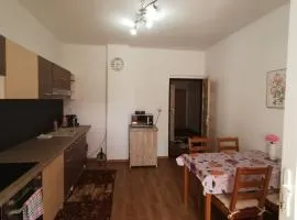 Privat Teo Podtureň