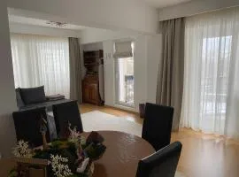 Apartament Cozma