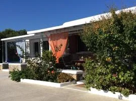 Liana Studios