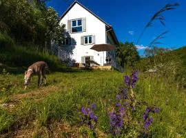 Freistehendes Ferienhaus mit Kamin, Sauna, atemberaubenden Blick ins Tal, mehrere Terrassen, 1500qm Grundstück 1,6m hoch eingezäunt