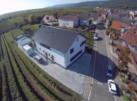 Ferienwohnung Andergasse, hotel near Hohe Loog mountain, Neustadt an der Weinstraße