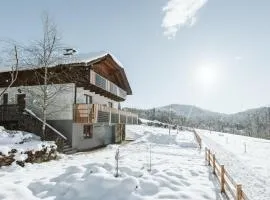 mirnockAHOI - familienfreundliches Ferienhaus für 4 Erwachsene, maritimes Bergerlebnis, Panoramablick von Terrasse und Balkon, Carinthia, Millstättersee