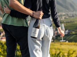 Winzerhof & Gästehaus Bernhard, ubytování v soukromí v destinaci Weissenkirchen in der Wachau