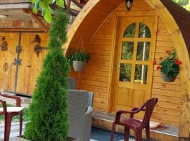 Vila Jelena - BUNGALOV, hotel near Suncana Dolina T-bar, Crni Vrh