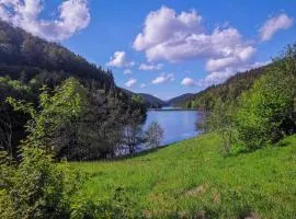 Familien-Hotel Am Tränkbachtal Frauenwald