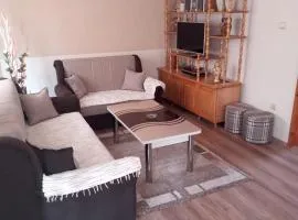 Apartman Dunja 2