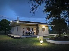Villa Anastasia! in STROFYLIA pine FOREST!!!