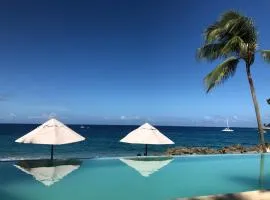 Comfortable Apartment in Caribbean Paradise