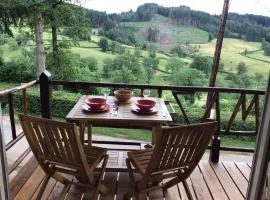 La Mazille , cossy vakantiestudio met zwembad in zuid-Bourgogne