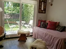 Departamento en la naturaleza de Pucón