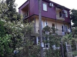 Guesthouse Achi, homestay in Batumi