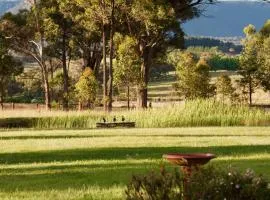 Marigold Cottage, A Blue Mountains Oasis- Spacious, Views & Kangaroos