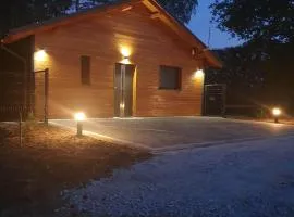 Domek pod sosnami