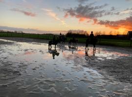 The Horse Farm, Bed & Breakfast in Garnwerd