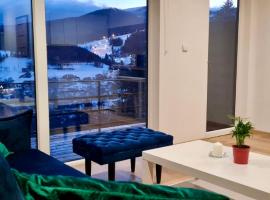 Apartamenty Widokowe Na Szczycie, cheap hotel in Korbiel&oacute;w