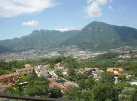 Agriturismo La Selva