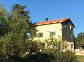 APARTMENT ŽUŽI Otok Silba Hrvatska