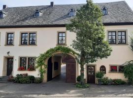 Weingut Gorges-Reinhard, hotel barato en Wintrich