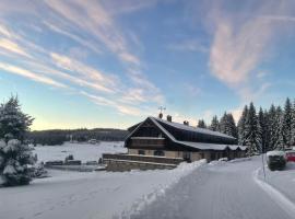 Pension Hones, ubytování v soukromí v destinaci Horská Kvilda
