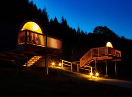Frankenwald Chalets - Chalets, hotell sihtkohas Wilhelmsthal