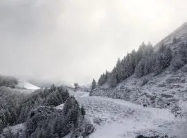 Château Porthos Tranquillité des Pyrénées