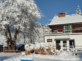 Leonówka Bieszczady，位于齐斯纳的酒店