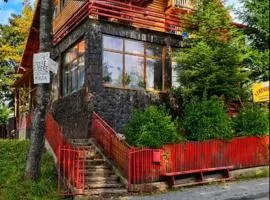 vila strugurelu hostel