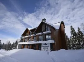 Alliance Villa Gоderdzi