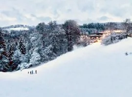 App 613 Panoramic Hohegeiß Terrassenhaus