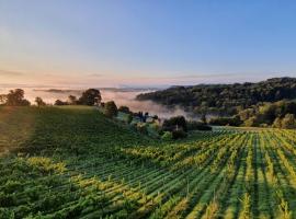 Weingut & Ferienwohnungen Lenhard, hotel con estacionamiento en Lang