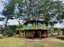 Tree House Finca La Floresta Verde