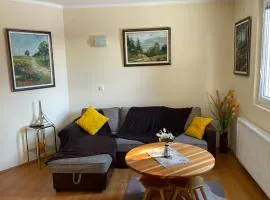 Yellow House