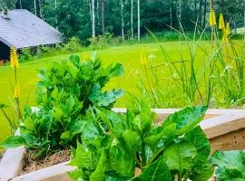 Śliczny domek z sauną