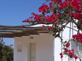 The Artists House - Traditional Home, budgethotel i Agia Theodoti
