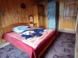 Хата у Карпатах
