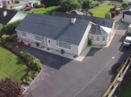 Barrow View Accommodation, B&B in Mountmellick