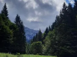 Hotel ALPIN - apartament 704