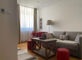 "Apartman Snow Idyll" Brzeće Center Apartments