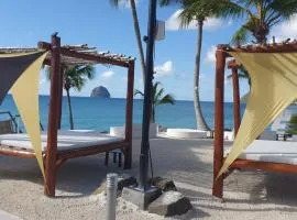 Le Blue Ground Vue Mer