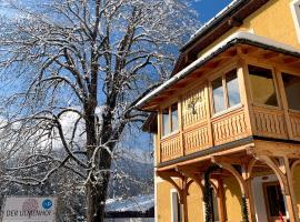 Der Ulmenhof, hotel u gradu Gozau