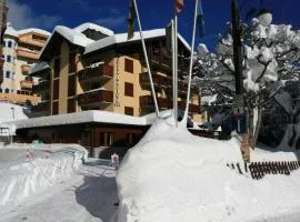 Hotel Alpina