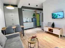Snow Forest Bakuriani Apartment 10