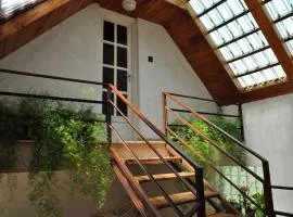 Apartments in Siofok - Balaton 41943