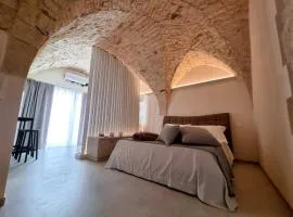 PIRANO Suite