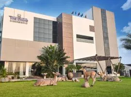The Divine Resort Somnath