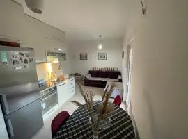 Cv apartment